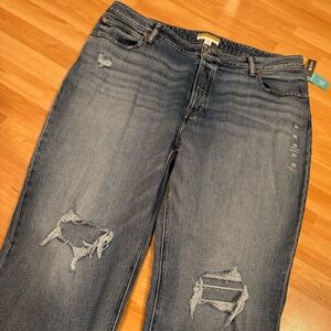 Maurices‎ Curvy Fit Short Distressed Jeans